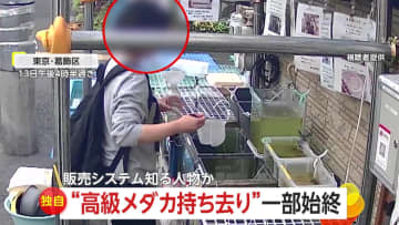 【独自】「楊貴妃」「カガミ鱗」“高級メダカ”を盗む女…無人店で平日昼間に堂々と網ですくい持ち帰り用ペットボトルに　東京・葛飾区