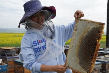 中国の養蜂産業、農業収入の3千億元以上の増加促す
