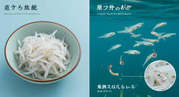 しらすの正体とは？実は赤ちゃん魚の驚きの真実