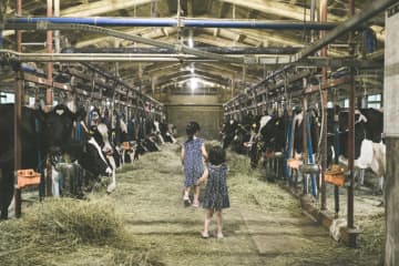 【北海道】暮らしと経営のバランスをとりながら、 長く続けられる酪農業を目指して｜北海道下川町移住者インタビュー