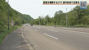 定山渓でまたクマ目撃　初夏も要注意