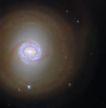 輝くリング構造と淡い渦巻腕が印象的な銀河「NGC 1317」