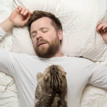飼い主さんが愛猫のために『ガマンしがち』なこと5選　トイレ、安眠…これぞ下僕の証？！