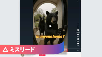 チャイム鳴らすクマの動画はAI生成 TikTokから拡散