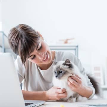 猫に『懐いてもらえない残念な人』に共通する5つのこと　無理に仲良くなろうとするのは逆効果！