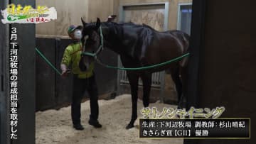 リーディング独走中！杉山晴紀厩舎が日本ダービーに送り出す2頭の素顔｜日本ダービー2025 いま頂点へ