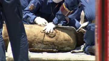 【続報】爆発原因のガスボンベに「1964年11月」初回検査合格を示す刻印　東京・江戸川区の爆発火災で10人負傷・38棟に被害