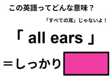 この英語ってどんな意味？「all ears」