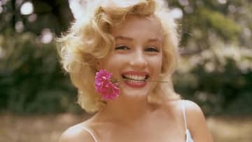 【週末映画コラム】唯一無二の女優の生涯を追った『マリリン・モンロー 私の愛しかた』／老女版のミッション・インポッシブル『テルマがゆく！ 93歳のやさしいリベンジ』