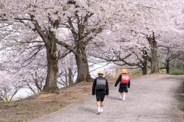 新美南吉の『一年生たちとひよめ』あらすじ紹介。一年生たちが真剣に向き合ったこととは？心がほっこりする一編