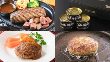 約90商品の中から選ぶ！編集部の激推し「お取り寄せハンバーグ」3選