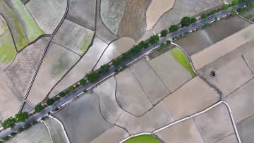 万峰林風景区に広がる田鏡の風景　中国貴州省興義市