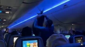 デルタ航空便で鳩2羽が機内に侵入、乗客が悲鳴を上げパニックに【映像】