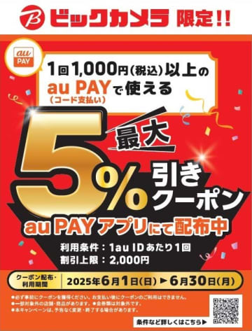 ビックカメラ、6月はau PAYで5%OFFクーポン(上限2000円)　ECは10%還元