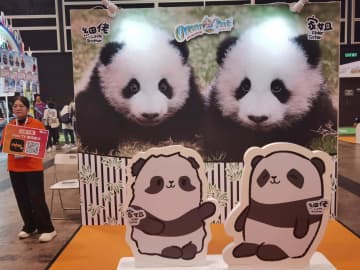 海洋公園の双子パンダの名前が決定