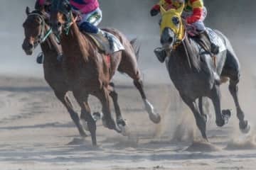 競走馬の珍名ルールは？「スモモモモモモモモ」勝利で話題、キンタマーニやショウヘイも人気