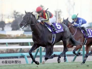 「最も運のある馬が勝つ」日本ダービーで過去10年3着内すら入れていない【死の馬番】に入ってしまった不運の馬とは！？