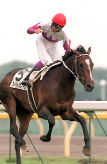 【日本ダービー】1998年スペシャルウィーク 天才・武豊をダービージョッキーへと導いた日本総大将