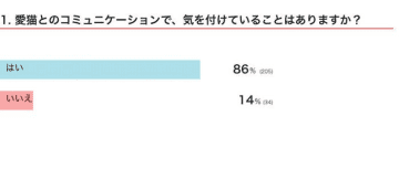 【調査】愛猫とのコミュニケーションで気を付けていることは？　猫が好きな接し方を獣医師が解説