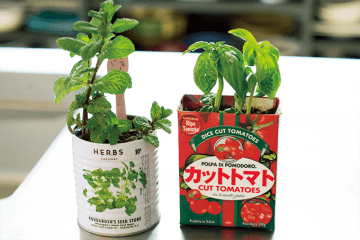 空き缶や紙パックをリユースして楽しむ「おうちハーブ」の楽しみ方「ペパーミント」＆「スイートバジル」