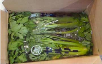 【9都道県のスーパー】茨城県産の「セロリ」2,380kgを回収「残留基準値を超える農薬」