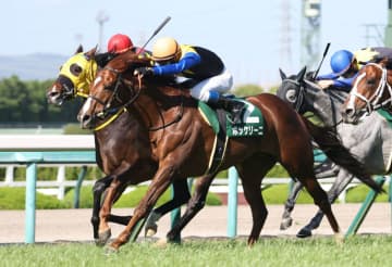 古豪ボッケリーニの競走馬登録抹消…種牡馬入り