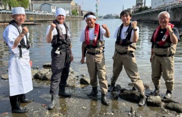 DASH海岸、１年がかりで育てたアカモクが全滅の危機に！