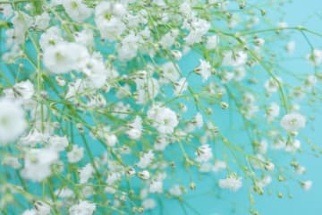 今日の運勢占い6月1日（日）12星座占いランキング第1位は牡羊座（おひつじ座）！ あなたの星座は何位…!?