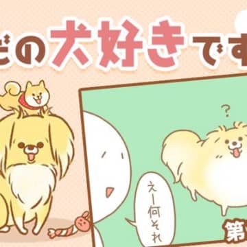 ただの犬好きです。【第314話】「画像検索」