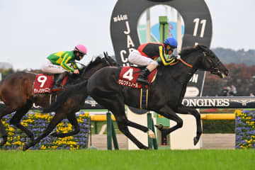 【日本ダービー 見どころ】競馬界の未来を支えるスターホース＆ジョッキーの誕生なるか
