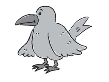 実は“カラス”はいない!? 黒い鳥の正体とは【眠れなくなるほど面白い 図解 カラスの話】