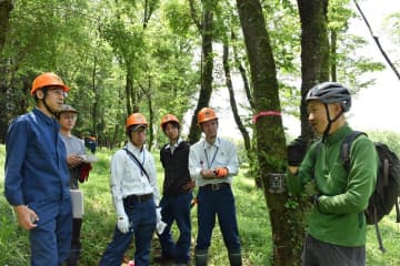 ニホンジカ数　AI推計　茨城・大子の八溝山周辺　森林管理署森林総研　カメラ設置、画像解析