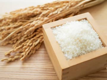 4日連続の一粒万倍日が到来！宝くじ売り場の目利き人・ふくちゃんが“お米の力”にあやかれる宝くじ売り場を紹介！