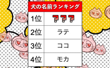 【犬の名前ランキング2025】第1位は2020年度からの5連覇！ 柴犬の名前トップ5は？ （アイペット損保調べ）