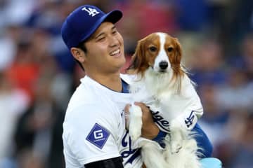 「真美子さんが撮ったのかな」大谷翔平が愛犬デコピンの最新姿を公開。ご機嫌な表情、口を開きお座りしたキュン死ショットにもん絶の声