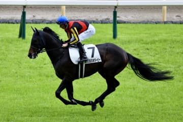 【日本ダービー】皐月賞馬ミュージアムマイルは二冠ならず