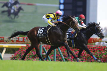 【青嵐賞】デュアルウィルダーが人気に応える…勝ちタイムは2分23秒8（良）