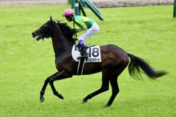 【日本ダービー】武豊サトノシャイニングは4着敗退…7度目のダービー制覇とはならず