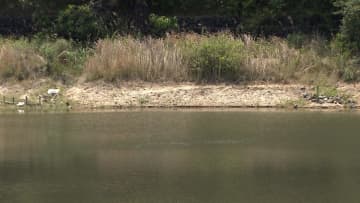 誤って池に転落か…小1男児の死亡確認　公園で父親や弟と遊んでいる際に行方不明に　岡山