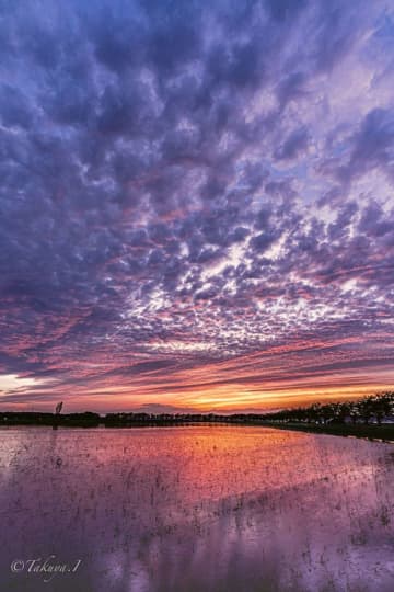 「まるで夢のよう」「これは、夕焼けというより...」　千葉で遭遇した〝幻想的絶景〟に圧倒される