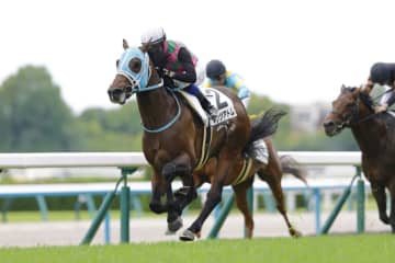 【京都4R】14番人気ダンツアトムが逃げ切って大波乱