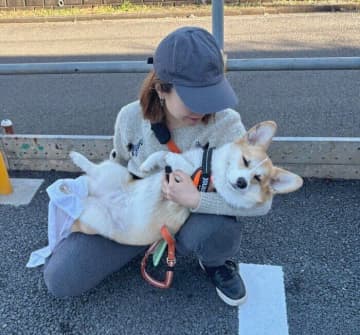 足を拭いている最中に寝てしまった!?　飼い主に抱えられながら寝落ちしたコーギーの姿が“赤ちゃん”すぎた！