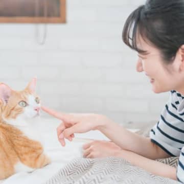 愛猫の死を招きかねない『危ないイタズラ』7選　軽い気持ちでも“虐待”につながる厳禁行為