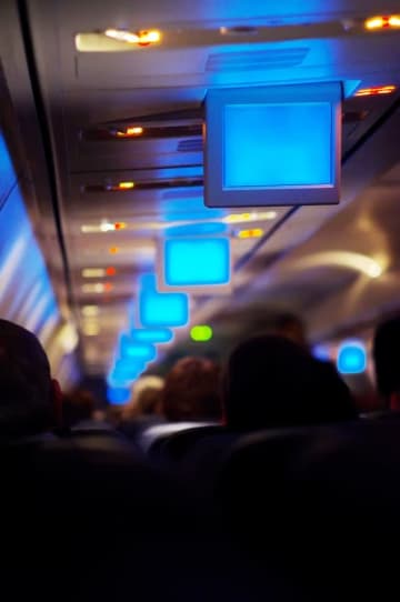 「キャーー！！」飛行機に“まさかの珍客”が搭乗。機内には悲鳴が上がり騒然