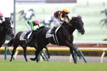 WIN5は67万円超の払戻し…日本ダービーはクロワデュノールが3歳馬の頂点に