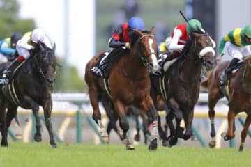 【むらさき賞】メリオーレムが人気に応えてオープン入り
