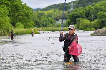 大子、待望のアユ釣り　茨城