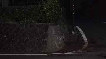 軽自動車が道路脇のコンクリート壁に衝突…乗っていた80代夫婦死亡　現場は三差路で見通しの良いカーブ　福井・南越前町