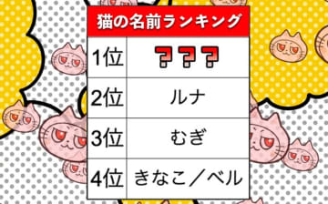【猫の名前ランキング2025】3位のむぎ、2位のルナを抑えて1位に躍進した名前は？（アイペット損保調べ）