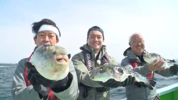 東京湾に1kg2万円超えの超高級魚が大集結！猛毒の魚から取れる“海の宝石”を味わう『DASH海岸』